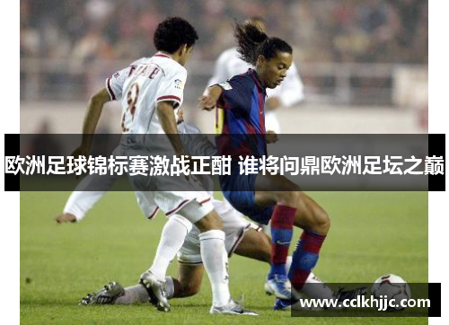 欧洲足球锦标赛激战正酣 谁将问鼎欧洲足坛之巅